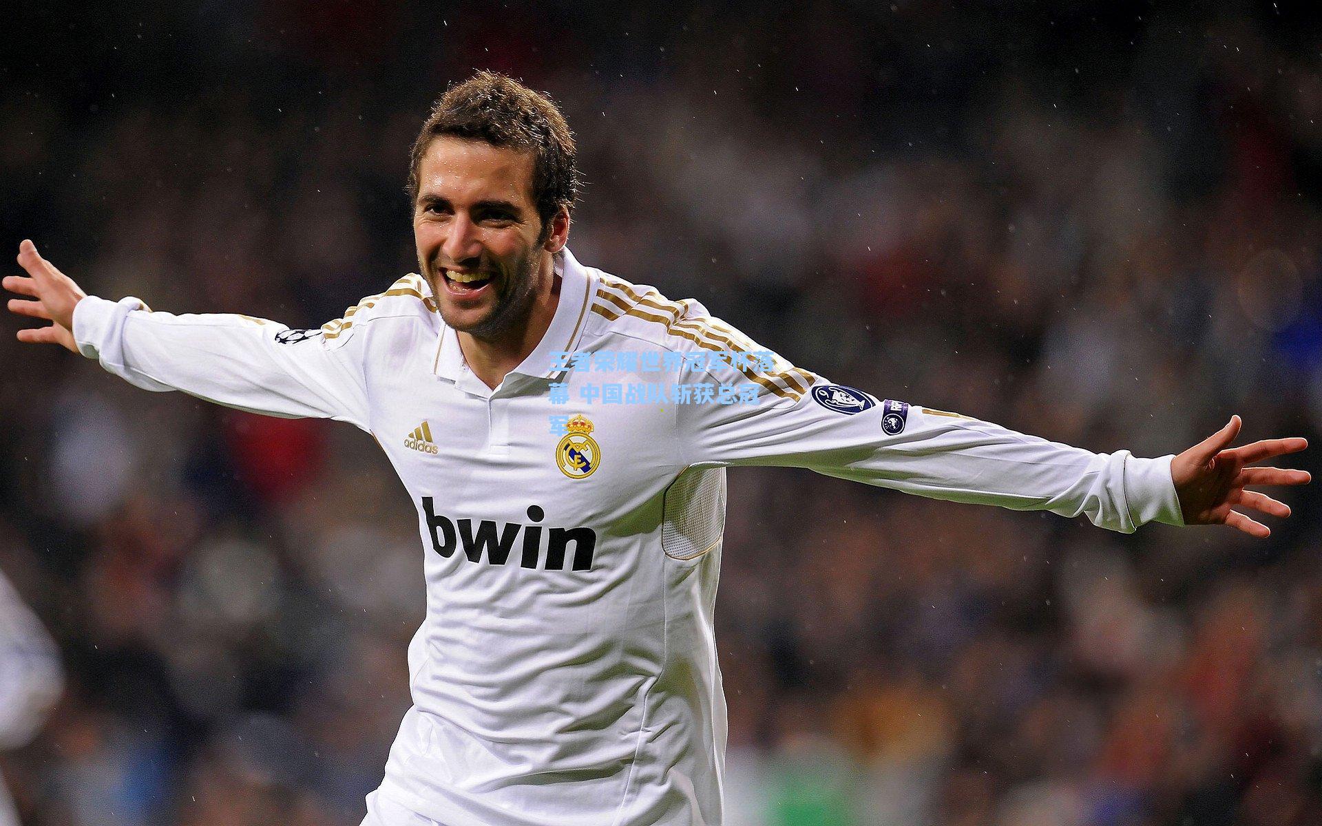 王者荣耀世界冠军杯落幕 中国战队斩获总冠军