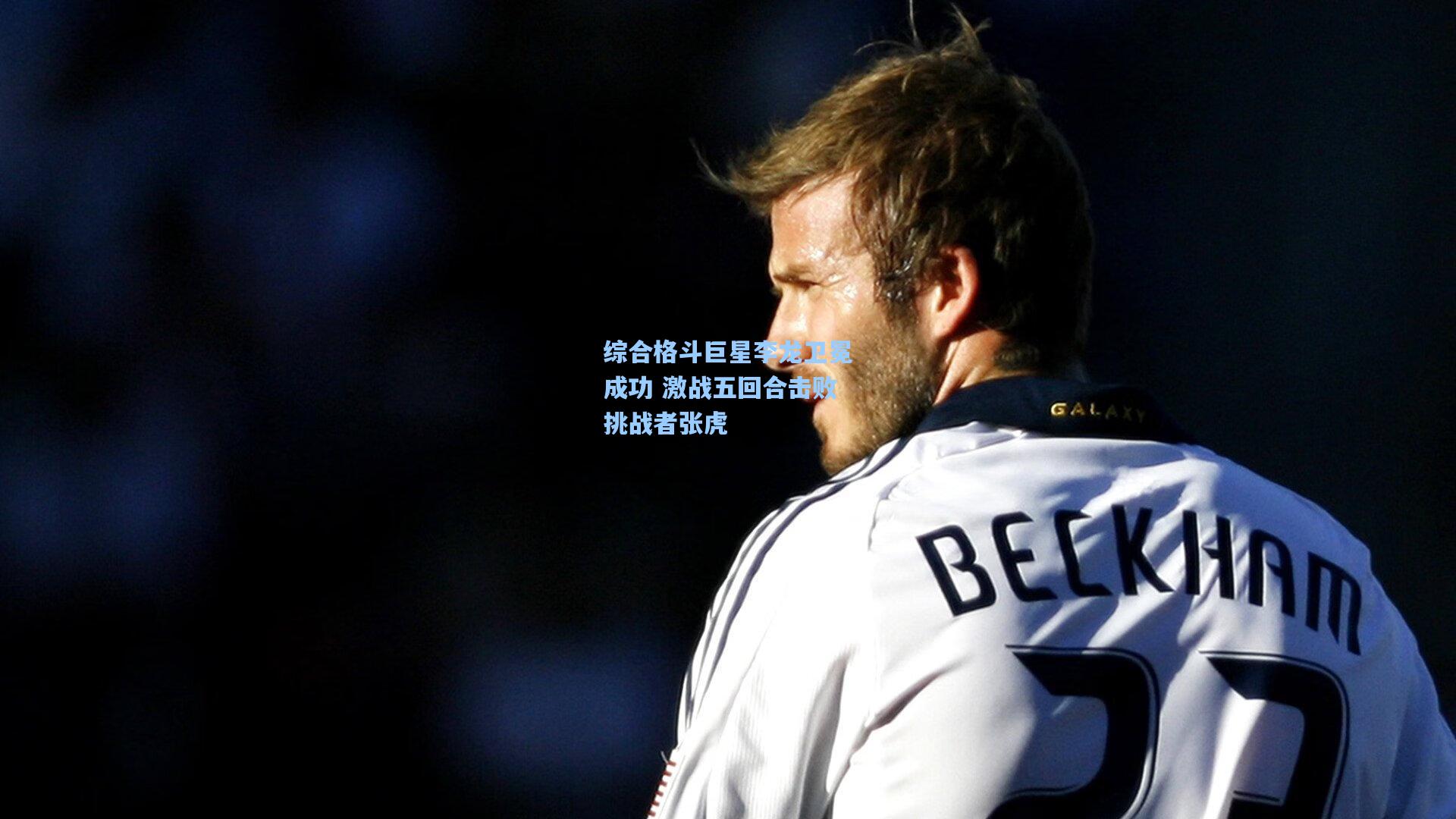 综合格斗巨星李龙卫冕成功 激战五回合击败挑战者张虎