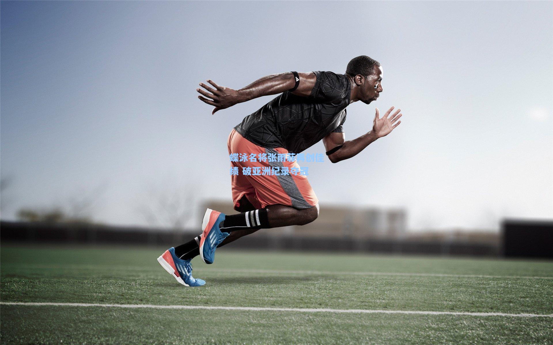 蝶泳名将张雨菲再创佳绩 破亚洲纪录夺冠