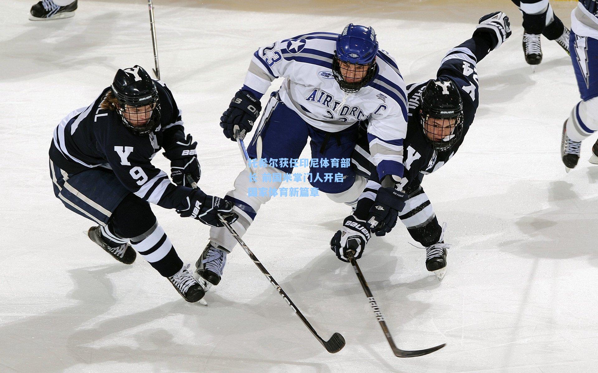 托希尔获任印尼体育部长 前国米掌门人开启国家体育新篇章  第1张