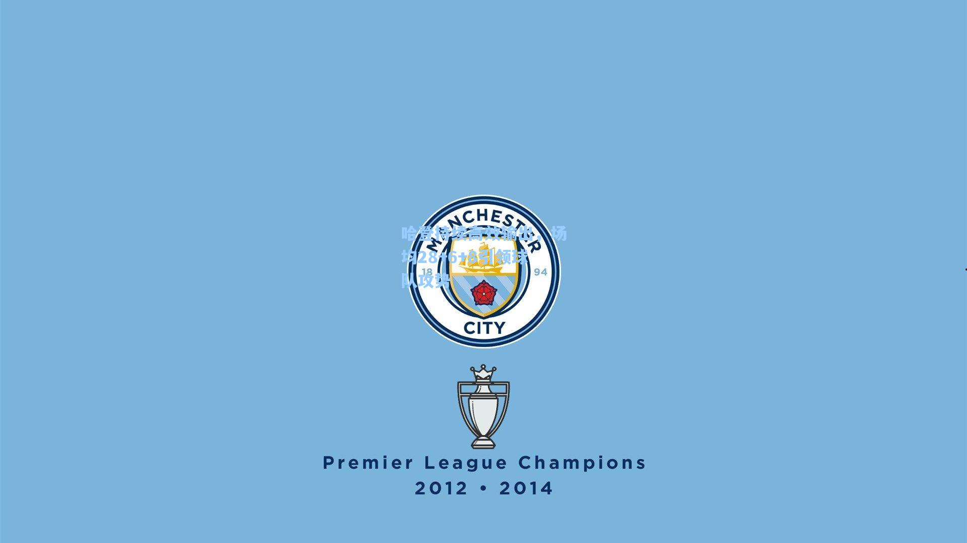 哈登持续高效输出，场均28+6+8引领球队攻势